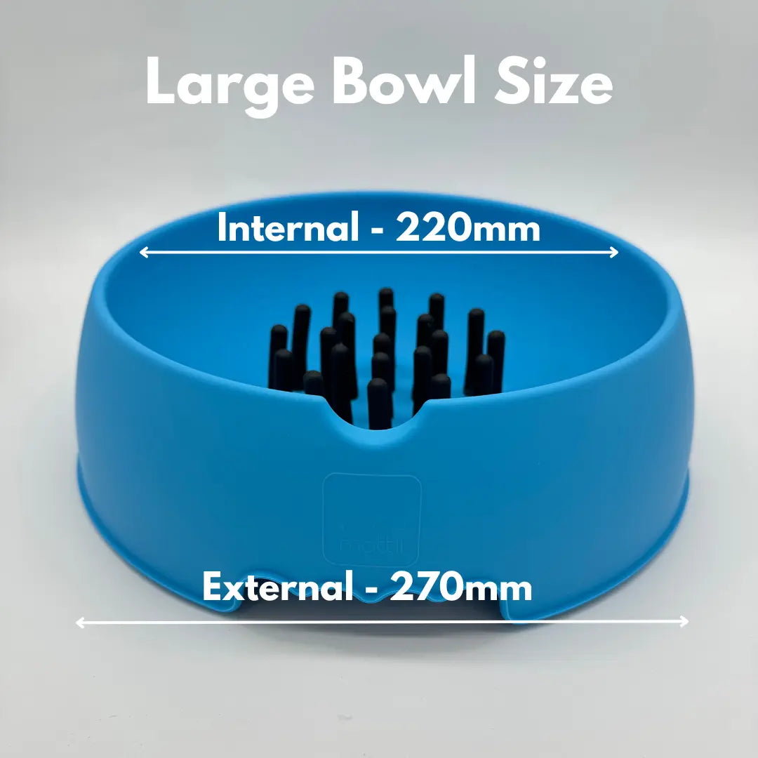 Slow Muncher Dog Bowl - Aqua Blue My Store